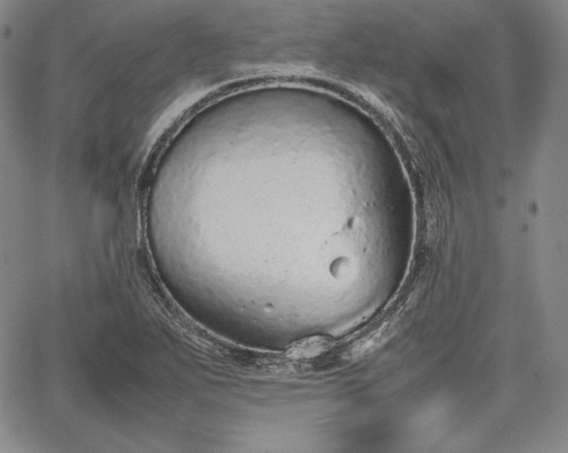 X0000067871271200604201209