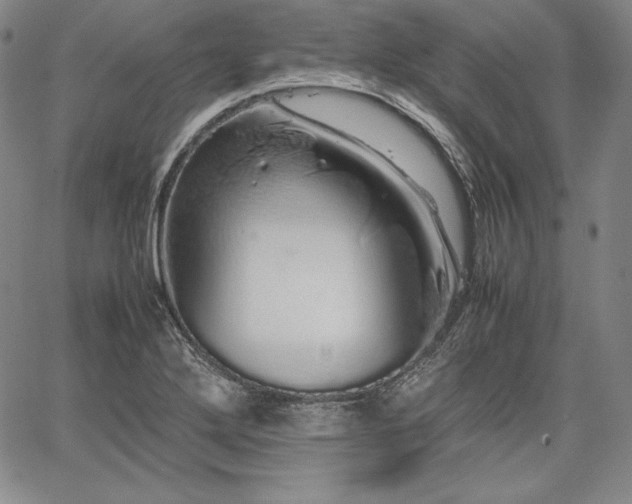 X0000067871272200604201209