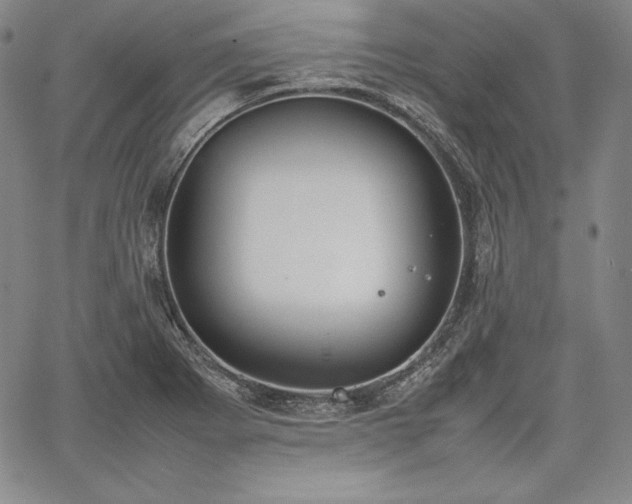 X0000067871273200604201209