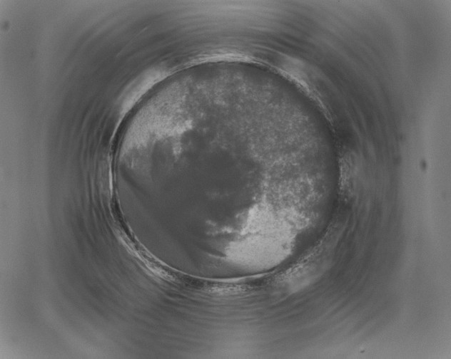 X0000067871274200604201208