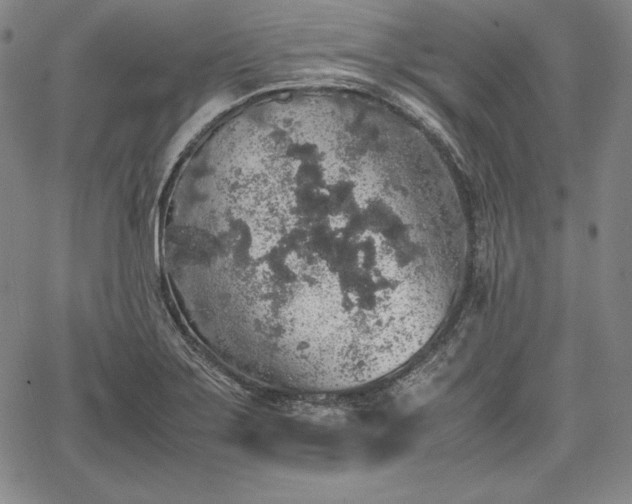 X0000067871275200604201208