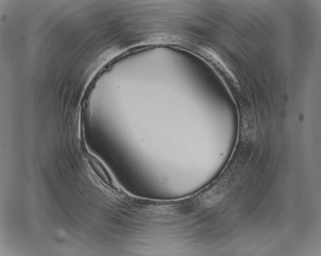 X0000067871276200604201208