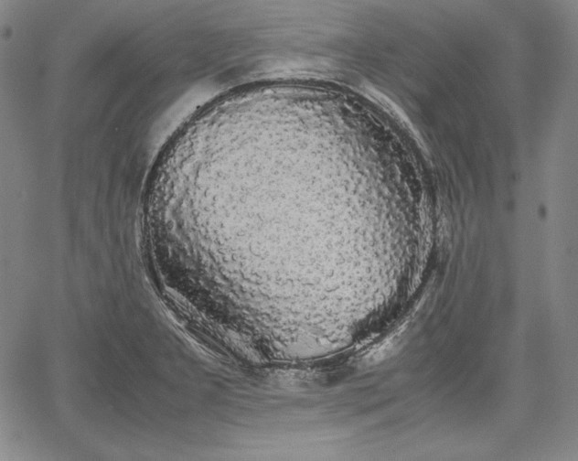 X0000067871277200604201208