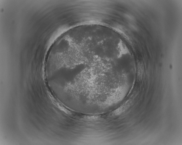 X0000067871278200604201208