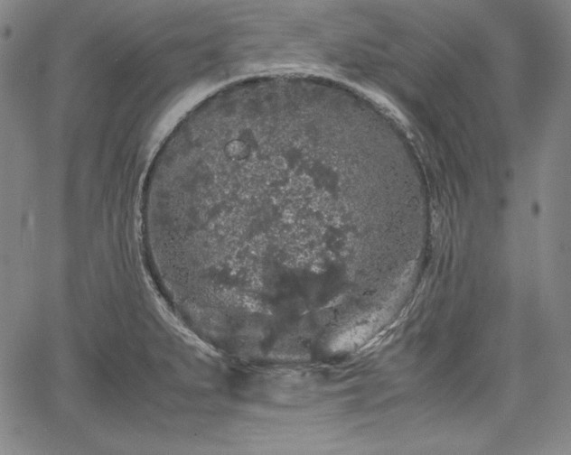 X0000067871279200604201208