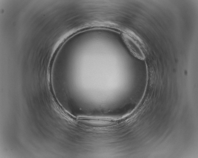 X0000067871280200604201208