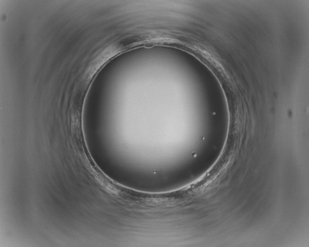 X0000067871281200604201208