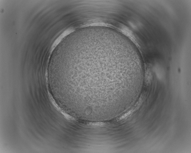 X0000067871282200604201208