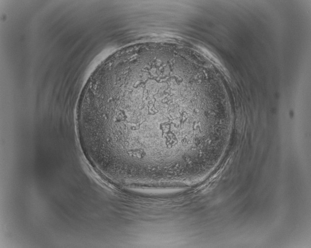 X0000067871283200604201208