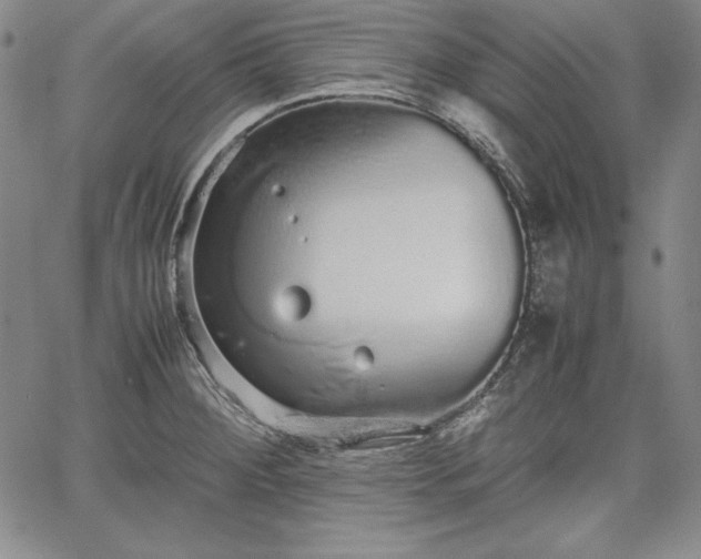 X0000067871284200604201208