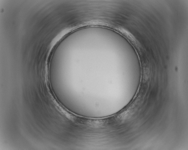 X0000067871286200604201208