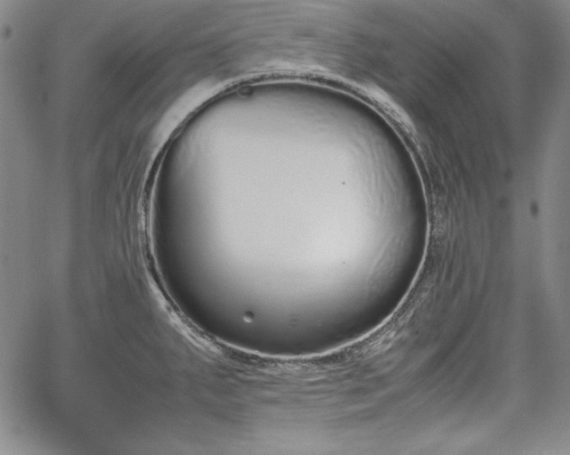 X0000067871287200604201208