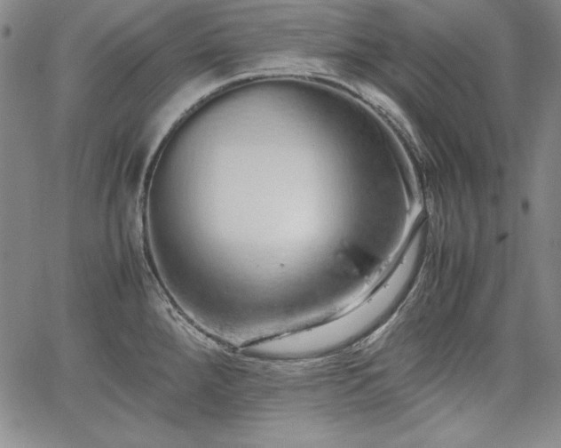 X0000067871288200604201208