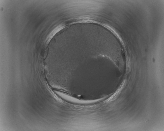 X0000067871289200604201208