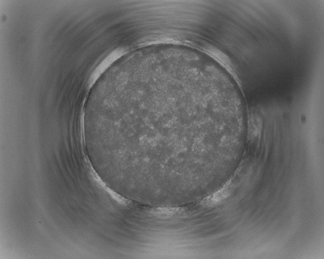 X0000067871290200604201208