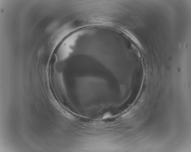 X0000067871291200604201208