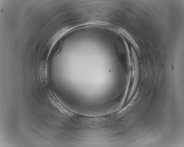 X0000067871292200604201208