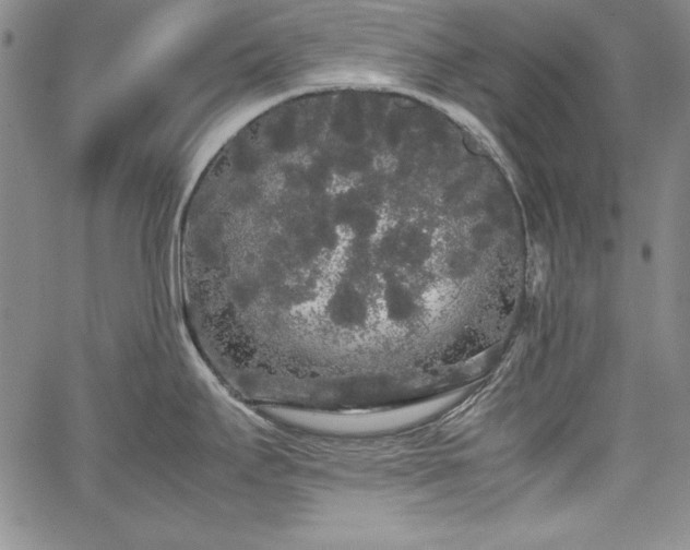 X0000067871295200604201208