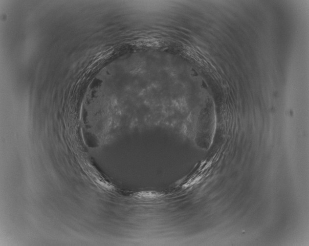 X0000067871297200604201207