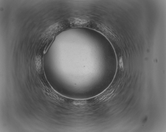 X0000067871299200604201207