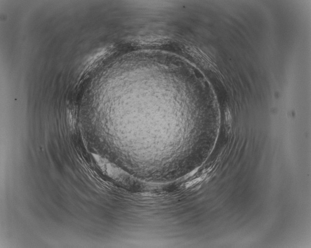 X0000067871300200604201207