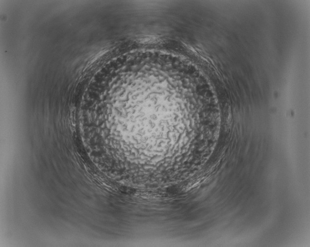 X0000067871301200604201207