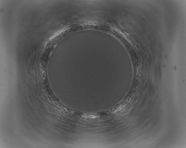 X0000067871303200604201207