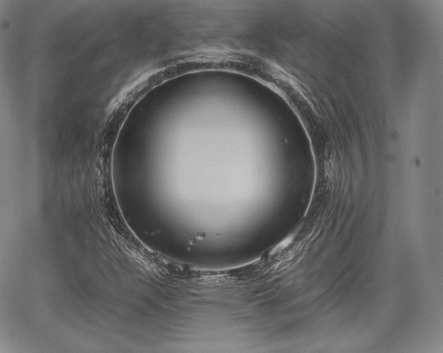 X0000067871304200604201207