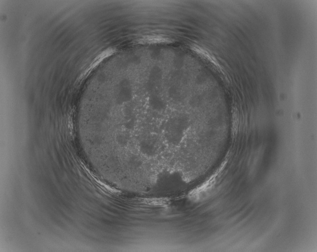 X0000067871305200604201207