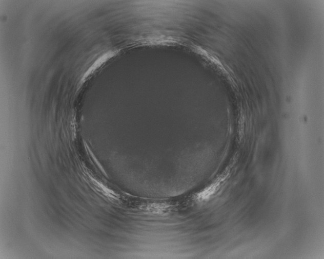 X0000067871306200604201207