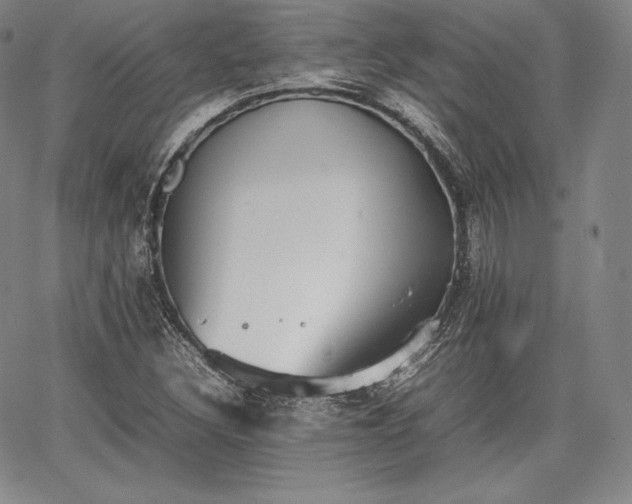 X0000067871308200604201208