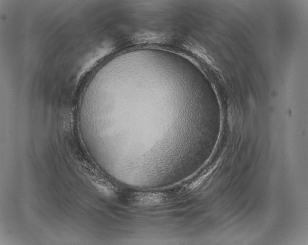 X0000067871309200604201208