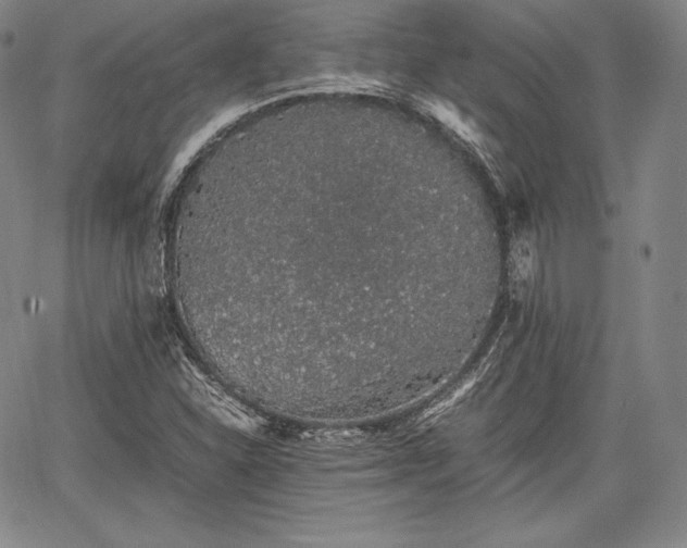 X0000067871310200604201208