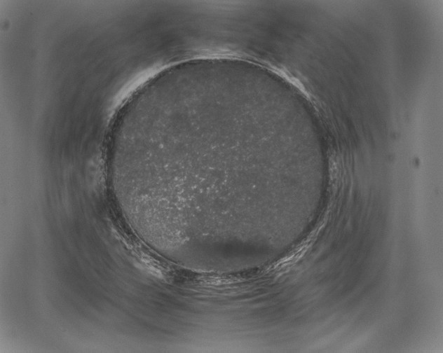 X0000067871311200604201208