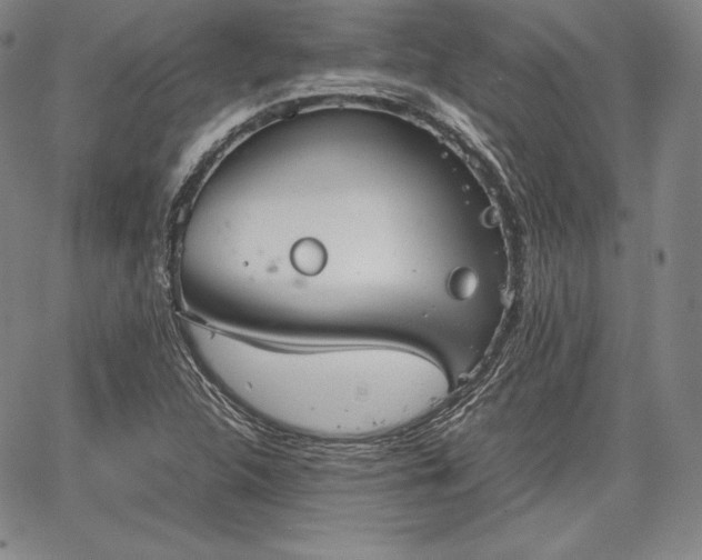 X0000067871312200604201208