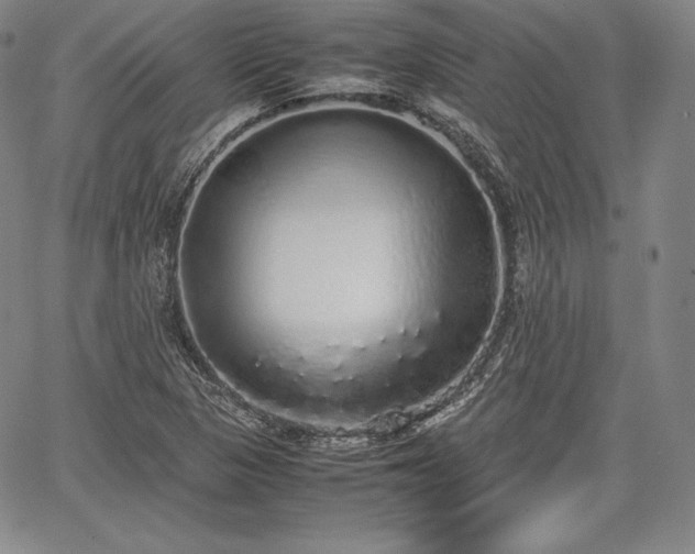 X0000067871313200604201208