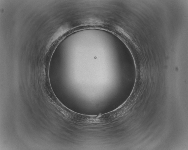 X0000067871315200604201208