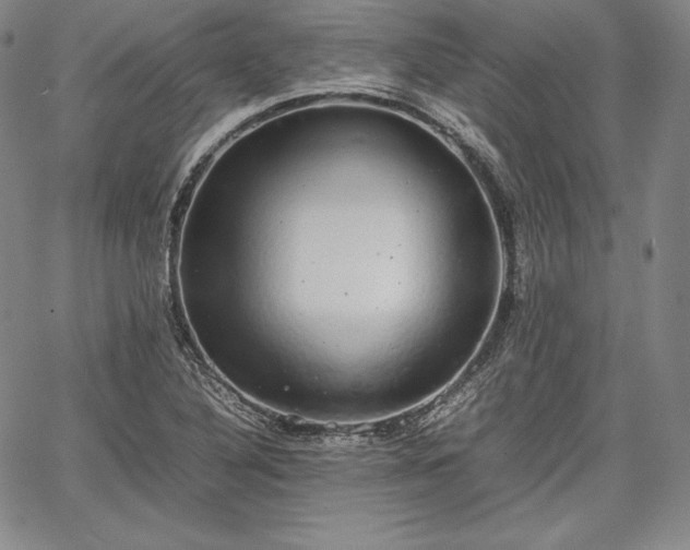 X0000067871316200604201208