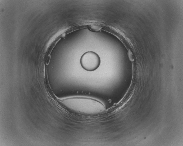 X0000067871317200604201208