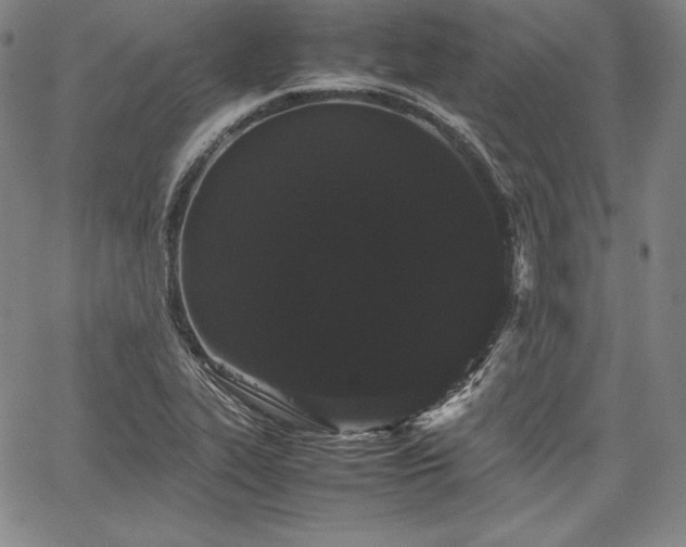 X0000067871319200604201208