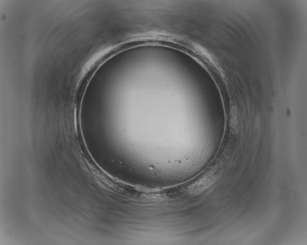 X0000067871320200604201208