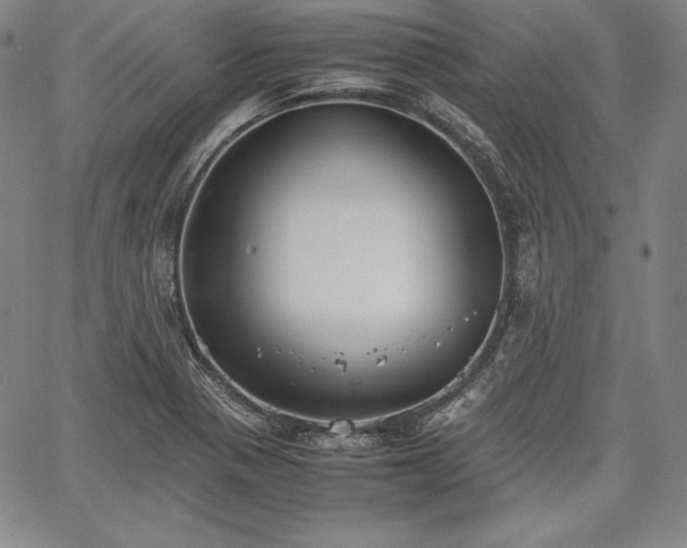 X0000067871321200604201208