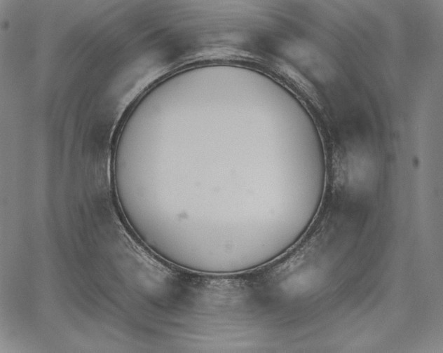 X0000067871322200604201208