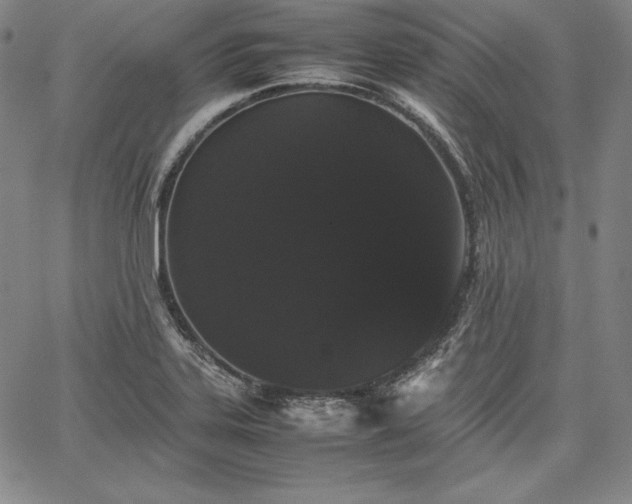 X0000067871323200604201208