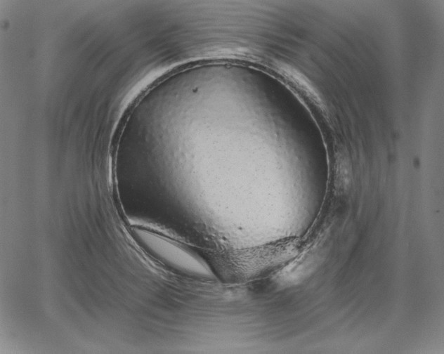 X0000067871324200604201208