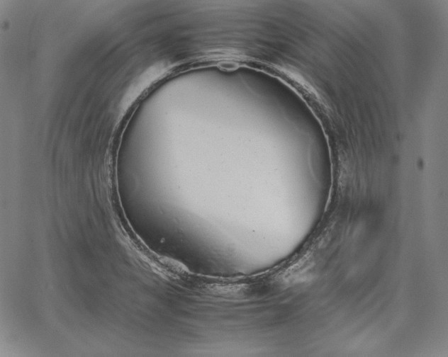 X0000067871325200604201208