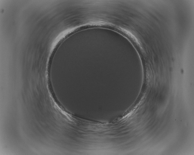 X0000067871327200604201208