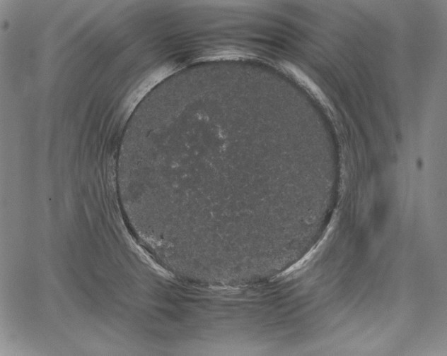 X0000067871329200604201208