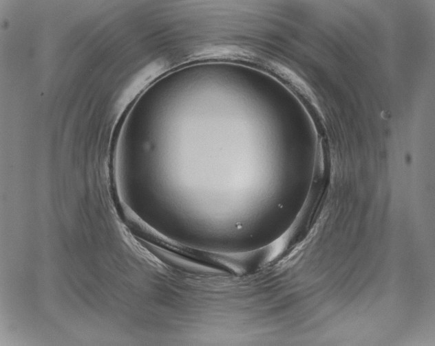 X0000067871330200604201208