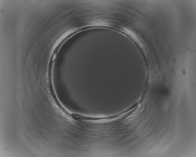 X0000067871331200604201208